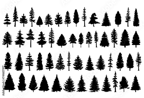 Pine tree silhouette collection on white background.Spruce tree silhouette set on white background