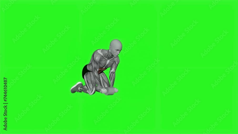 3D illustration animation of a male doing the Ab Wheel Right Out Fitness Exercise 3D illustration animation of a male doing the Ab Wheel Right Out Fitness Exercise
