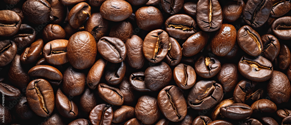 Close-up image capturing the rich textures and dark tones of freshly roasted coffee beans, with a focus on their glossy surfaces. Freshly Roasted Coffee Beans Close-up image capturing the rich textures and dark tones of freshly roasted coffee beans, with a focus on their glossy surfaces. Freshly Roasted Coffee Beans
