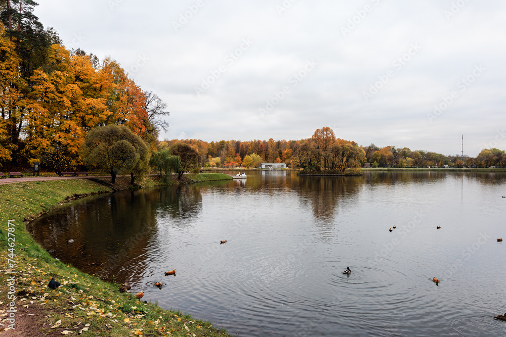 Autumn landscape with lake, trees and colorful leaves in city park