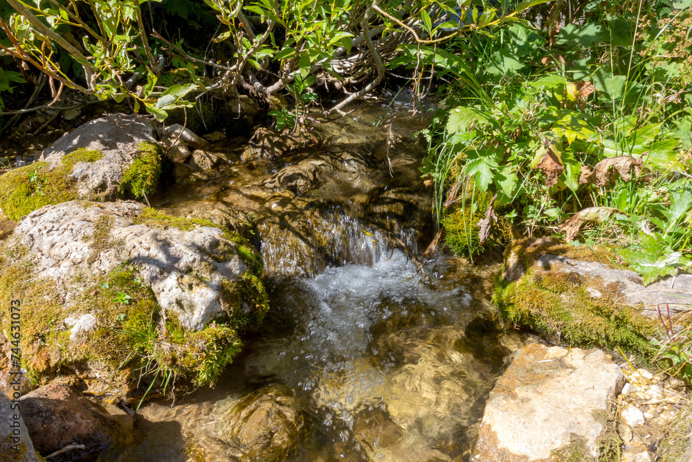 walking along the bed of a mountain river with a visit to unexplored places of the sources of drinking water walking along the bed of a mountain river with a visit to unexplored places of the sources of drinking water