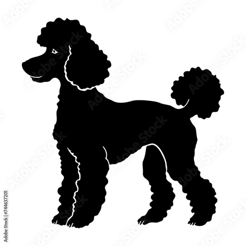 French poodle black silhouette logo svg vector, French poodle icon illustration.