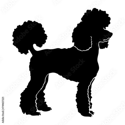 French poodle black silhouette logo svg vector, French poodle icon illustration.