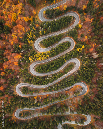 Aerial shot of a mountain winding road in autumn colors