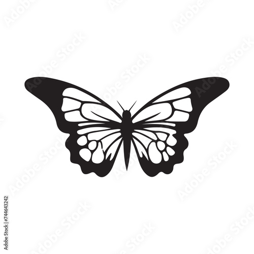 Butterfly illustration Vector © Hera