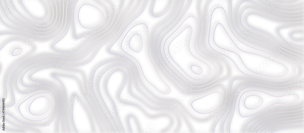 Abstract topographic contours 3d map background .topographic line texture background .monochrome image .stylized height of the topographic map contour in lines.	