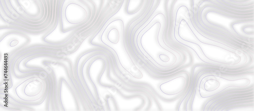 Abstract topographic contours 3d map background .topographic line texture background .monochrome image .stylized height of the topographic map contour in lines. 
