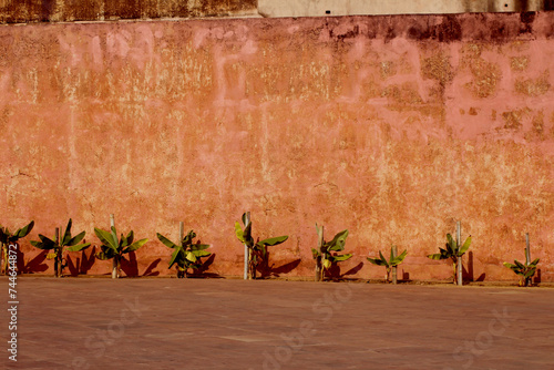 wooden wall with flowers