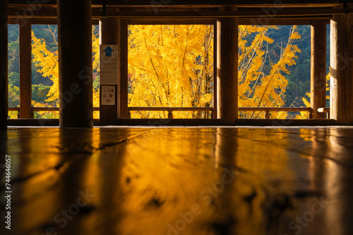 厳島神社の千畳閣（豊国神社） photo