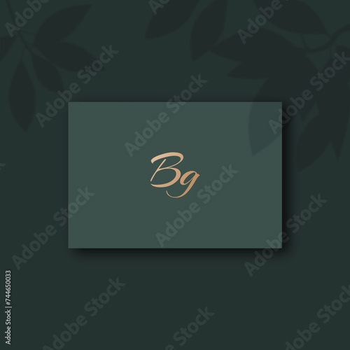 Bg logo design vector image