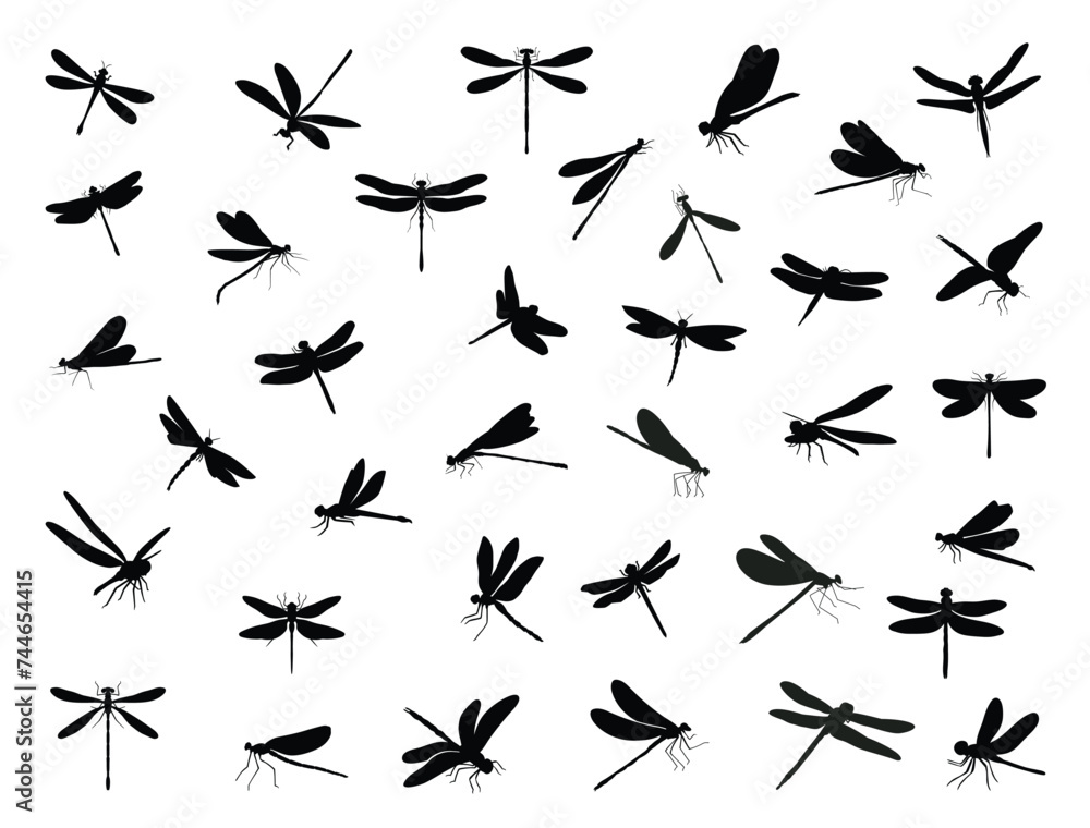 Dragonfly silhouette vector art white background Dragonfly silhouette vector art white background