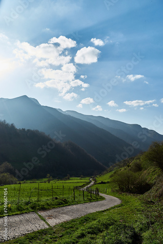 Landscape of a natural park