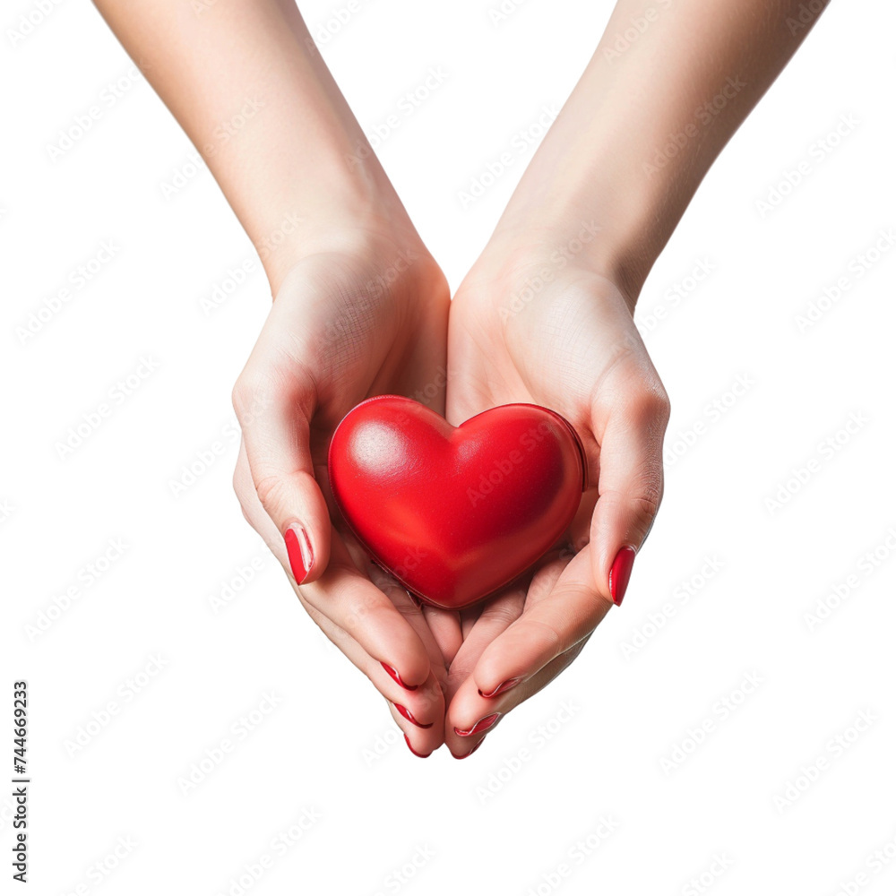 Obraz premium A woman's hands hold a red heart on an isolated white background. With clipping path.