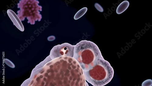 cells with nuclei and organelles floating in space among red blood cells on a dark background.
Concept: biology and medical research, structure and function photo