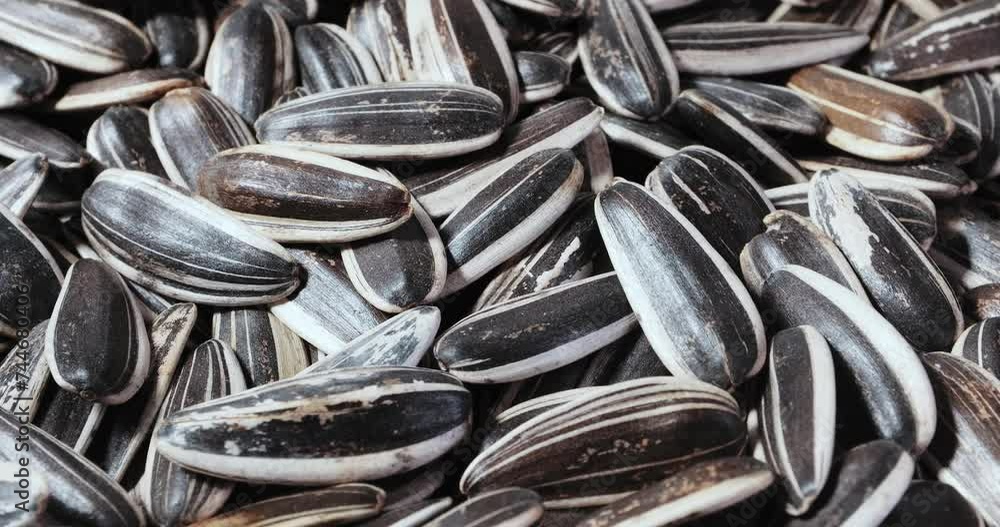 Sunflower seeds of a rare species of zebra. Top view of seeds on a rotating Sunflower seeds of a rare species of zebra. Top view of seeds on a rotating