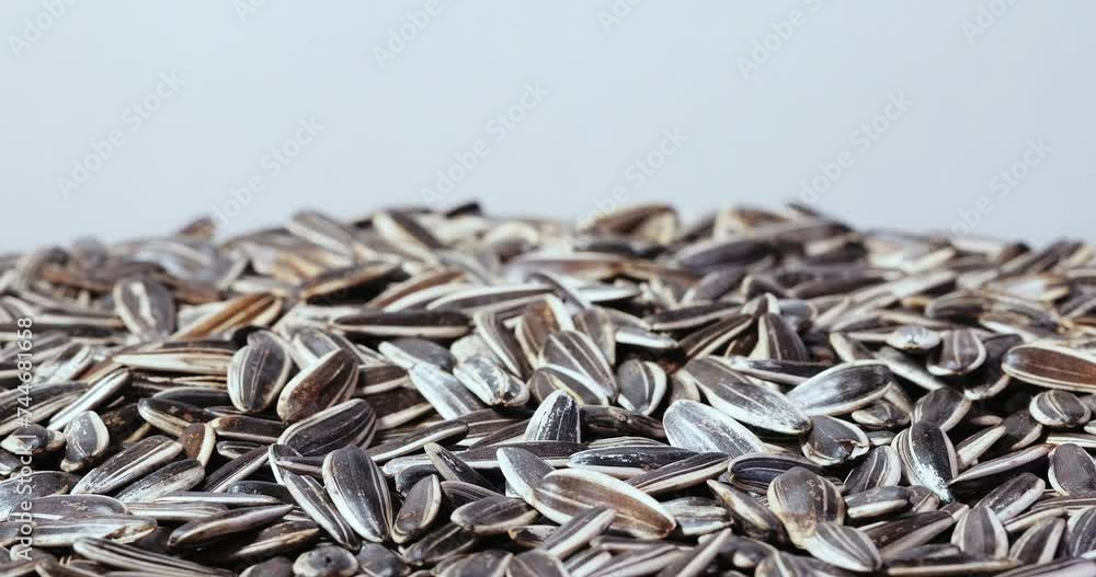Sunflower seeds of a rare species of zebra. Top view of seeds on a rotating Sunflower seeds of a rare species of zebra. Top view of seeds on a rotating