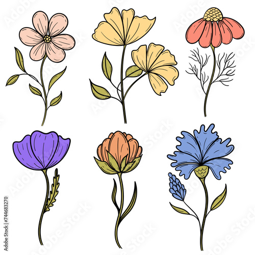 Set of six vector painted flowers drawn with black line in flat style. A collection of decorative botanical elements. Isolated floral objects.