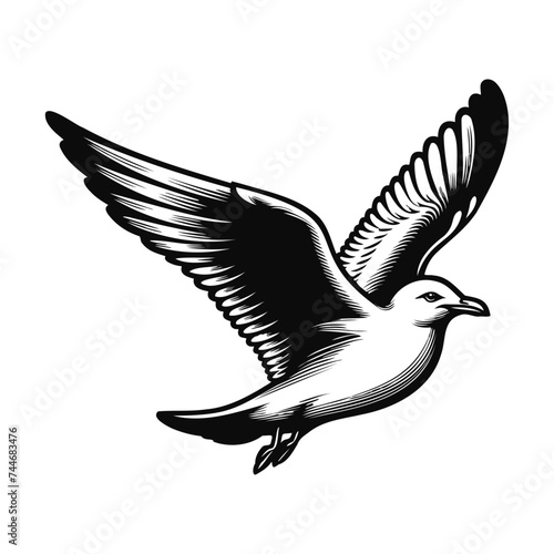 Silhouette of flying seagull bird, vector illustration.