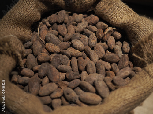 Kako beans, cocoa beans in a bag. photo