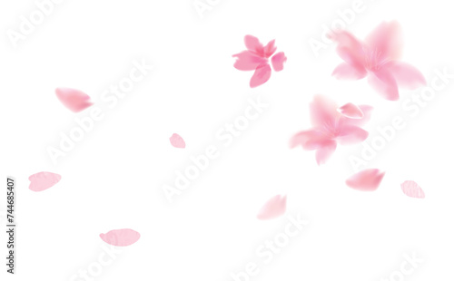 桜の水彩画　ふわふわ優しい手描き風イラスト