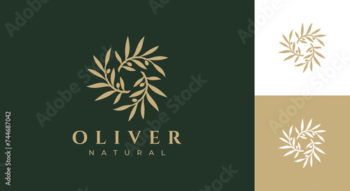 olive logo vector illustration, luxury olive branch logo template photo