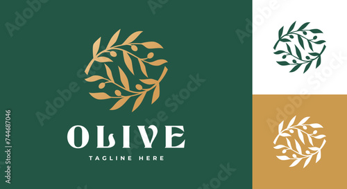 olive oil logo vector illustration, olive branch logo template