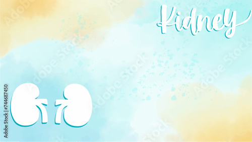 Medical infographic of kidney background. Abstract background style watercolor. Medical care for the hospital, page.Blue and white. Vector illustration
