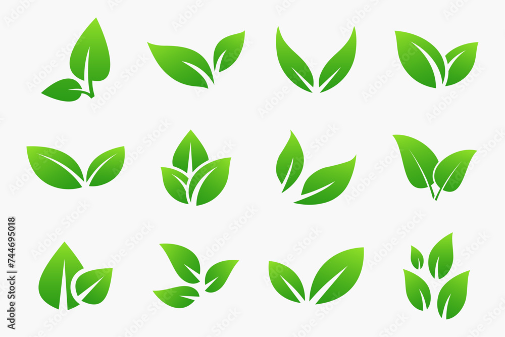 Leaves icon vector set. Green leaf icons set. Collection green leaf. Elements for eco and bio logos. Leaves icon vector set. Green leaf icons set. Collection green leaf. Elements for eco and bio logos.