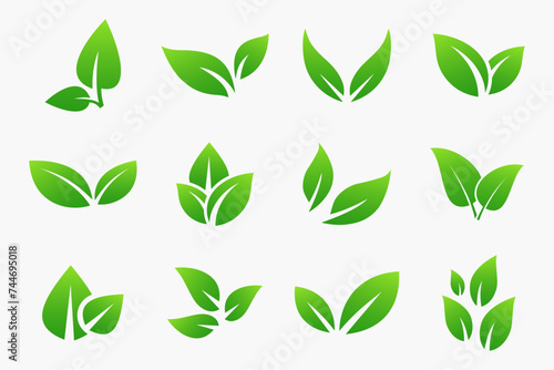Leaves icon vector set. Green leaf icons set. Collection green leaf. Elements for eco and bio logos.