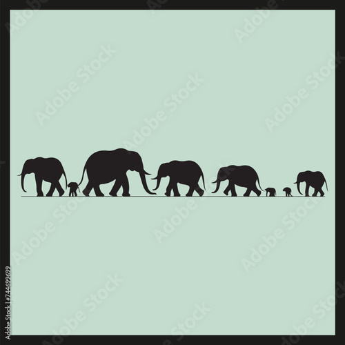 elephants on a white background