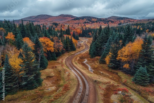 A winding dirt road leads through a majestic autumn forest, surrounded by towering larch and spruce trees as the clouds float lazily in the sky above, capturing the raw beauty of nature's fall palett