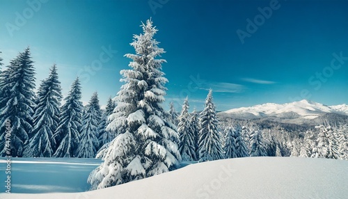 spruce tree forest covered by fresh snow during winter christmas time the winter scene is duotone with limited palette colours vector illustration