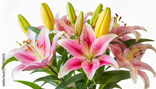 arrangement pink yellow lily flowers bouquet isolated on trandsparent background photo
