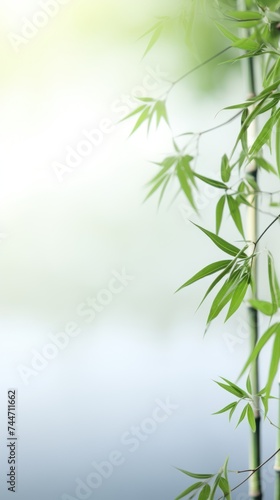 Chinese Bamboo Forest UltraHigh Resolution PPT Background