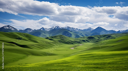 The Splendid Serenity of Nature - Vibrant Grasslands Against Majestic Mountains and Blue Skies © Chris