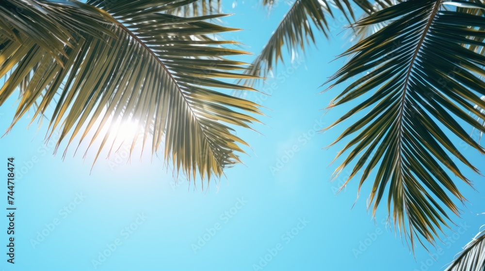 Bright sunlight filtering through tropical foliage. Perfect for travel brochures