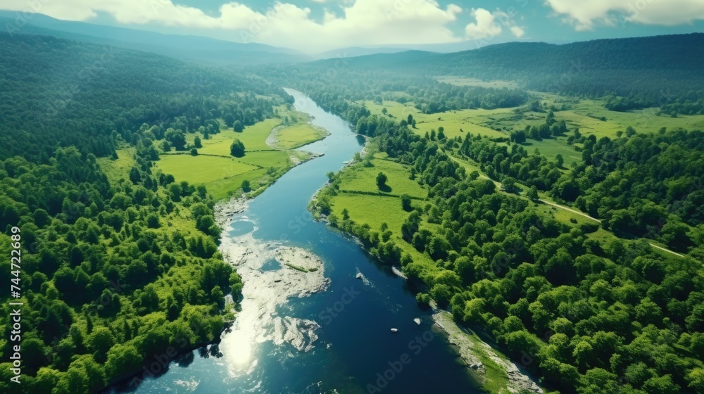 Scenic view of a river flowing through a vibrant green forest. Perfect for nature and outdoor-themed designs