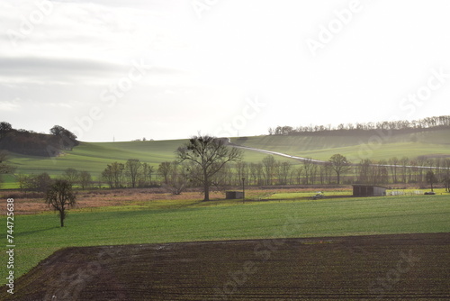 winter green EIfel landscape