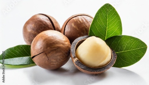 macadamia nuts with leaves