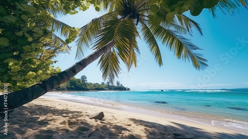 A serene image of a palm tree leaning over a sandy beach. Perfect for travel and vacation concepts