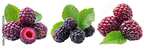 Mulberry isolated on transparent background ,berry fruit png ,generative ai photo