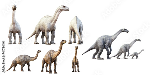 Collection of Diplodocus isolated on a white background as transparent PNG