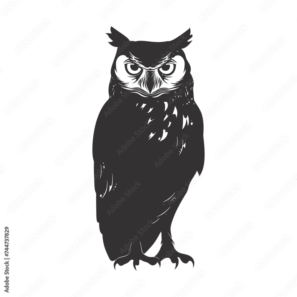 Fototapeta premium Silhouette owl animal black color only full body 