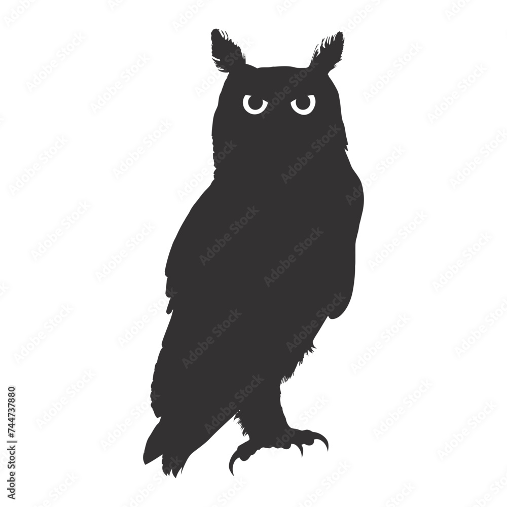 Fototapeta premium Silhouette owl animal black color only full body 