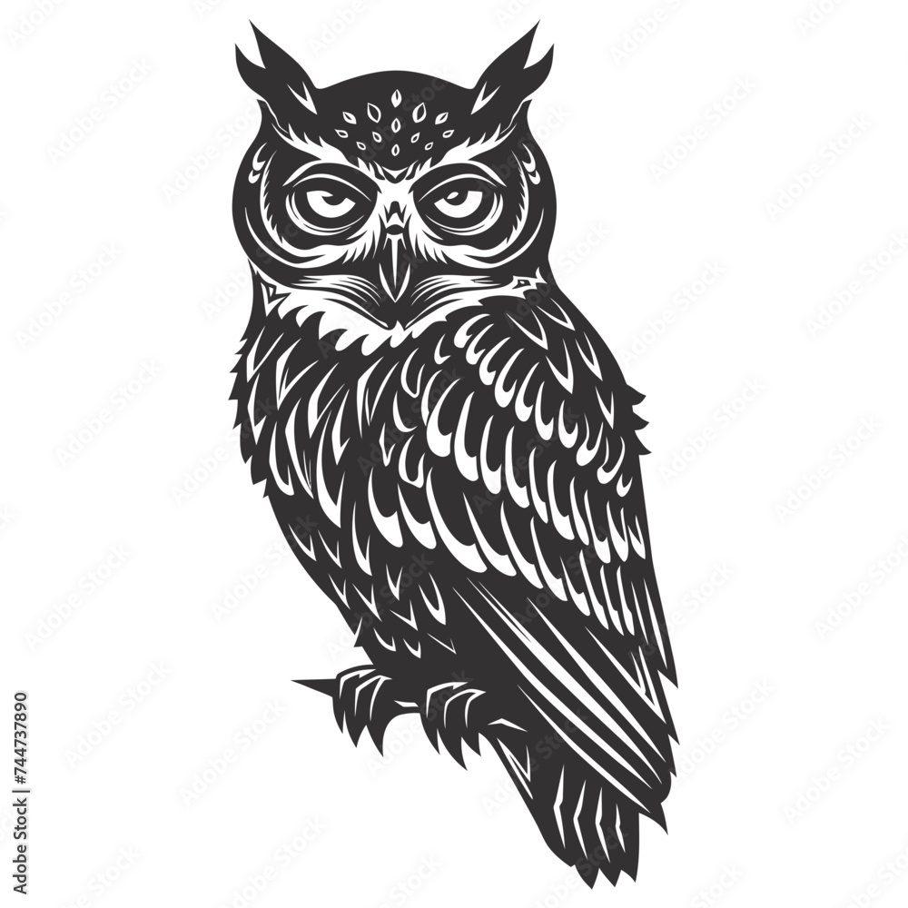 Fototapeta premium Silhouette owl animal black color only full body