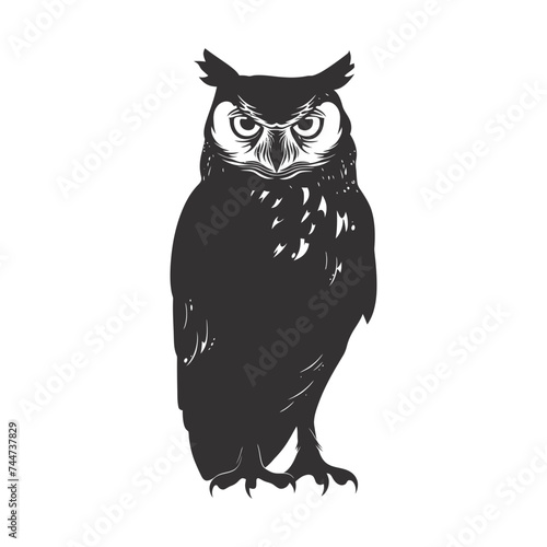 Silhouette owl animal black color only full body 