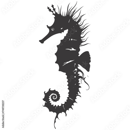 Silhouette seahorse animal black color only full body