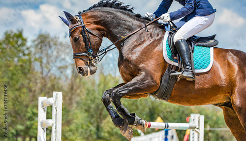 Horse Jumping, Equestrian Sports, Show Jumping themed photo.