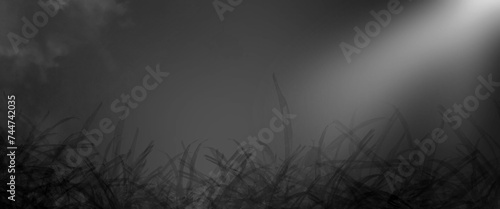 Dark black abstract texture with grass and falling rays. Ciemna tekstura, tło imitująca trawę i padające promienie księżyca