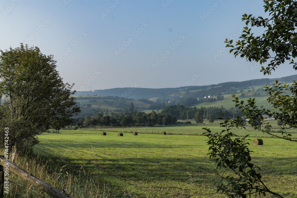 Landscape photography - Rolling hills forest landscape in Sauerland, Germany with trees, meadows and mountains.